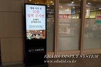 교회 did
